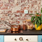 Shelly Gas CNG, Segnalatore gas 