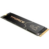 Team Group T-Force GA PRO 4 TB, Disco a stato solido Nero