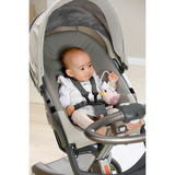 ZAPF Creation Biberon per bambini con sonaglio all'interno e clip, lavabile, Bottiglia di bambino Vendita al dettaglio