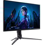Acer XB253Q F3, Monitor di gioco Nero