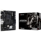 Biostar A520MHP, Scheda madre 