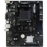Biostar A520MHP, Scheda madre 