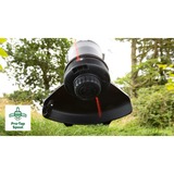 Bosch BrushCut cesoia per erba cordless 2,4 mm 36 V Ioni di Litio Verde, Tagliabordi verde/Nero, 2,4 mm, Acciaio inox, 4500 Giri/min, 33 cm, Verde, 36 V