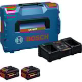 Bosch Set di avviamento EXPERT 18V, 2x EXBA 18V-80 + caricabatterie EXAL18V2-320 Nero
