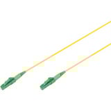 Digitus DK-2933-01-APC-SX, Cavo giallo