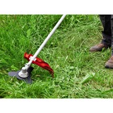 EINHELL GH-BC 43 AS 25,5 cm 1250 W Corrente elettrica AC Nero, Rosso, Tagliabordi rosso, 25,5 cm, 2,4 mm, 4 m, 6000 Giri/min, Nero, Rosso, Corrente elettrica AC
