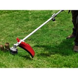 EINHELL GH-BC 43 AS 25,5 cm 1250 W Corrente elettrica AC Nero, Rosso, Tagliabordi rosso, 25,5 cm, 2,4 mm, 4 m, 6000 Giri/min, Nero, Rosso, Corrente elettrica AC