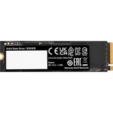 GIGABYTE AORUS Gen4 7300 2 TB, Disco a stato solido Nero