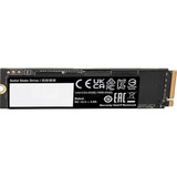GIGABYTE AORUS Gen4 7300 2 TB, Disco a stato solido Nero