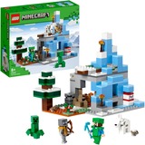 LEGO 21243