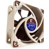 Noctua NF-A6x25 5V beige/marrone