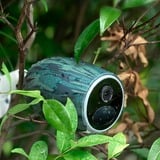 Reolink Go Series G330, Telecamera di sorveglianza bianco/Nero