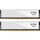 ADATA DIMM 16 GB DDR5-5600 (2x 8 GB) Dual-Kit, Memoria bianco
