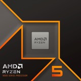 AMD Ryzen™ 5 9600X, Processore boxed