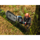 Bosch F016800661, Sega a catena 