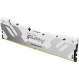 Kingston FURY KF564C32RW-16 bianco