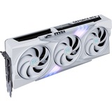 MSI V532-019R, Scheda grafica 