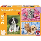 Schmidt Spiele 56361 