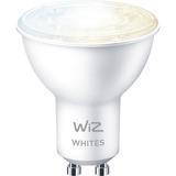 WiZ Lampadina Smart Dimmerabile Luce Bianca da Calda a Fredda Attacco GU10 50W Lampadina intelligente, Bianco, Wi-Fi, GU10, Multi, 2700 K