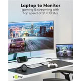 goobay Cavo adattatore USB, connettore USB-C > connettore DisplayPort, 4K 60Hz Nero/Argento