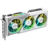 ASRock Intel® Arc B580 Steel Legend 12GB OC, Scheda grafica 