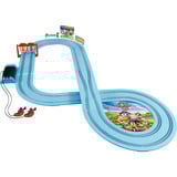 Carrera 20063057, Ippodromo 