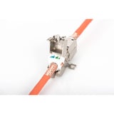 Digitus Giunto professionale Cat.6a per applicazioni sul campo, 500 MHz, 10GBase-T, Frizione 