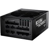 FSP PPA25A0102, Alimentatore PC Nero