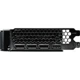 Gainward NE7506TU19T1-GB2061B, Scheda grafica 