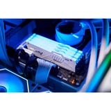 Kingston FURY KF556C40BWAK2-32 bianco