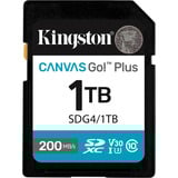 Kingston SDG4/1TB Nero