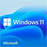 Microsoft Windows 11 OEM