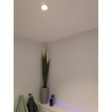 Shelly LightSolutions Hilux DS8 Faretto da incasso, Luce LED bianco