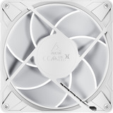 ARCTIC ACFAN00318A, Ventola bianco