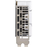 ASUS ASUS 8GB D7 RTX 5060 DUAL WHITE, Scheda grafica 