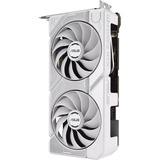 ASUS ASUS 8GB D7 RTX 5060 DUAL WHITE, Scheda grafica 