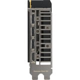 ASUS Dual -RTX5050-O8G NVIDIA GeForce RTX 5050 8 GB GDDR6, Scheda grafica GeForce RTX 5050, 8 GB, GDDR6, 128 bit, 7680 x 4320 Pixel, PCI Express 5.0