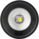 Ansmann M250F Nero Torcia a mano, Torcia elettrica Nero, Torcia a mano, Nero, Pulsanti, Manopola, 1 m, IP54, 1 lampada(e)