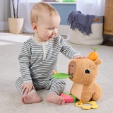 Fisher-Price HYR54, Peluche animali 