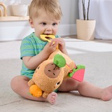 Fisher-Price HYR54, Peluche animali 