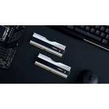 G.Skill Trident Z RGB F5-6000J3040G32GX2-TZ5RS memoria 64 GB 2 x 32 GB DDR5 6000 MHz argento, 64 GB, 2 x 32 GB, DDR5, 6000 MHz