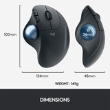 Logitech ERGO M575 Mouse Trackball Wireless - Facile controllo con il pollice, Tracciamento fluido, Design ergonomico e confortevole, per Windows, PC e Mac, con Bluetooth e USB grafite, Tracciamento fluido, Design ergonomico e confortevole, per Windows, PC e Mac, con Bluetooth e USB, Mano destra, Trackball, RF senza fili + Bluetooth, 2000 DPI, Grafite