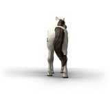 Schleich Horse Club Knabstrupper Castrato, Gioco figura 