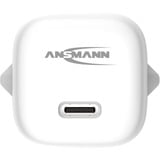 Ansmann Home Charger HC120PD-mini, 20 Watt, Caricabatterie bianco