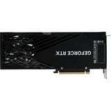 Gainward NE75070019K9-GB2050T, Scheda grafica 