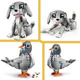 LEGO Speelse kat 31163, Giochi di costruzione 