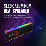 PNY DIMM 32 GB DDR5-6400 (2x 16 GB) Kit duale, Memoria Nero