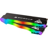 Patriot PVXR548G80C38K, Memoria Nero