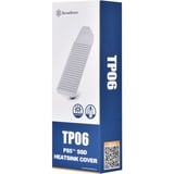 SilverStone SST-TP06, Dissipatore di calore argento