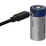 Ansmann 1300-0015, Batteria 